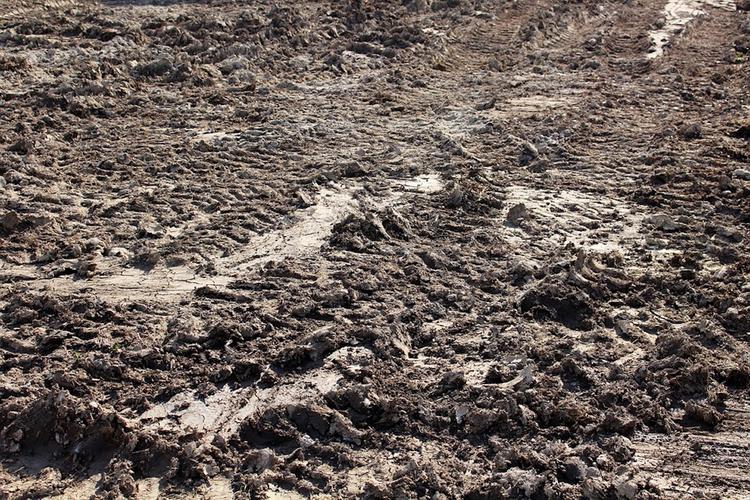 Военная техника США увязла в грязи на территории Польши