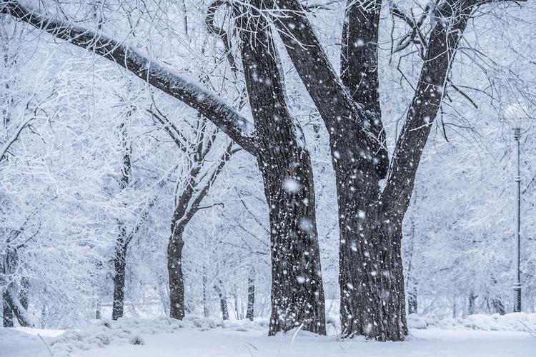 Синоптики: на Москву обрушится сильнейший снегопад