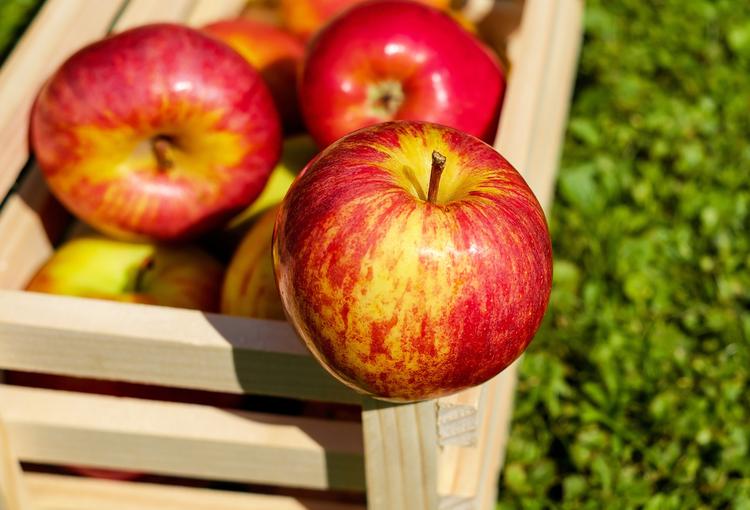 Яблоки и томаты вернут здоровье легких заядлым курильщикам