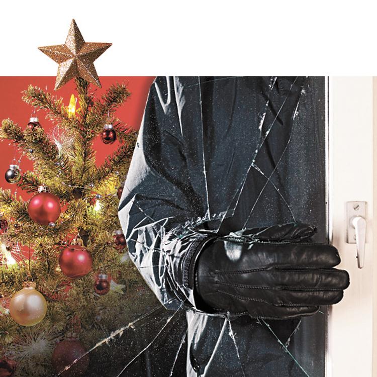 Вор под ёлкой