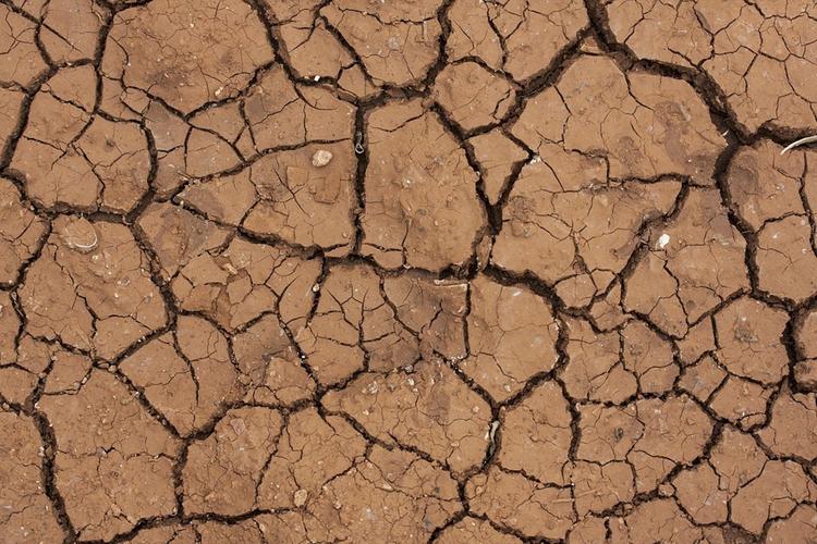 Ученые предсказывают, что четверть Земли превратится в пустыню