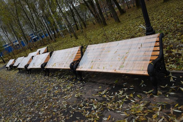 В Кирове может появиться специальная парковая служба