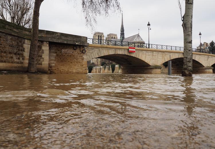 Парижане в ужасе: Сена вышла из берегов
