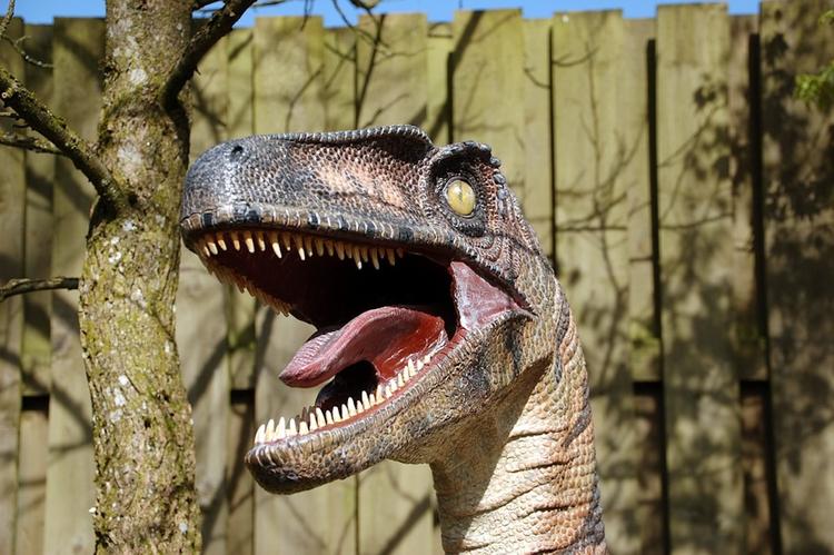 Останки ранее неизвестного науке динозавра обнаружены на территории Египта