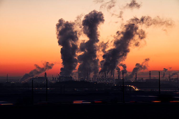 «Гринпис» считает, что московские власти скрывают данные о загрязнении воздуха