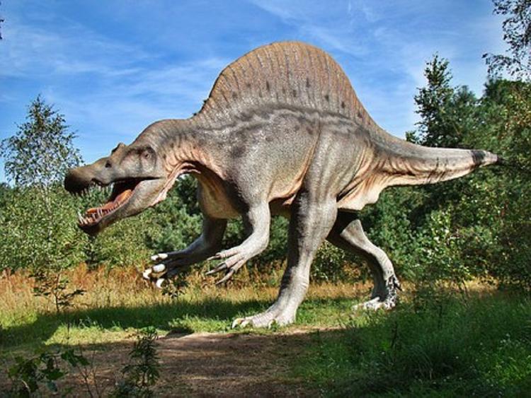 В центре полетов NASA нашли следы сотен динозавров