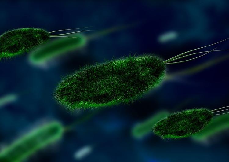 Ученые знают, в какой стране скоро появятся опаснейшие супербактерии