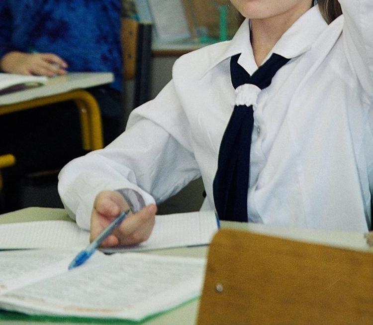 В школах Карелии вводят пропускной режим для родителей