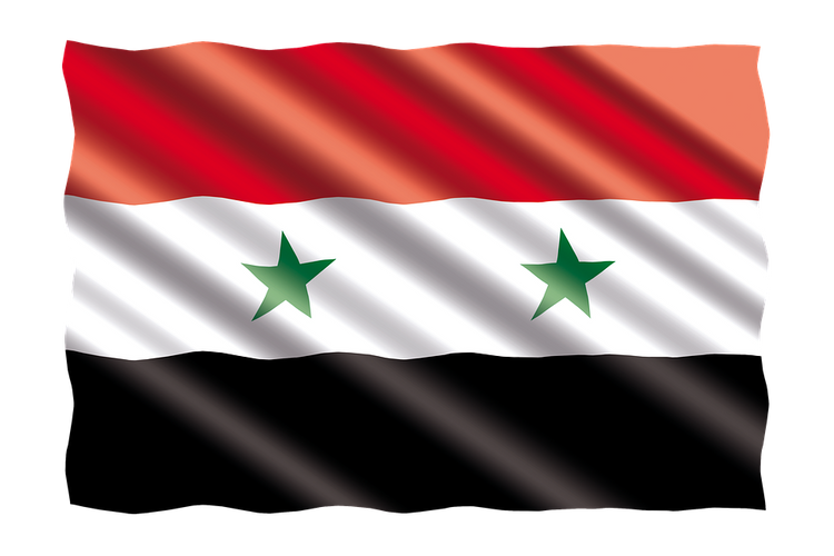 В Восточной Гуте жители двух деревень подняли сирийские флаги