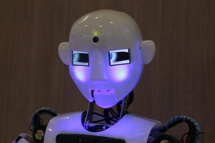 В российских школах могут появиться уроки робототехники