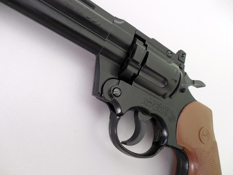 Девочке, устроившей стрельбу в Шадринске в школе, оружие подарил отец