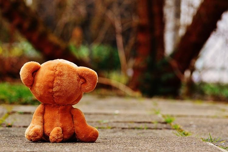 Двухлетняя девочка бесследно исчезла на Алтае