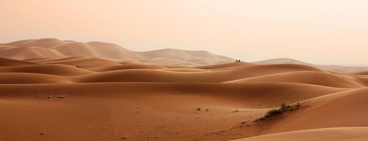 Пустыня Сахара продолжает захватывать новые территории