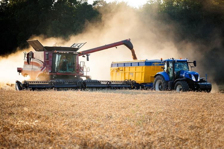 Справятся ли российские аграрии с будущими урожаями зерновых?