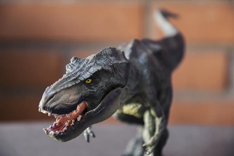 Палеонтологи обнаружили в США останки новорожденного тираннозавра
