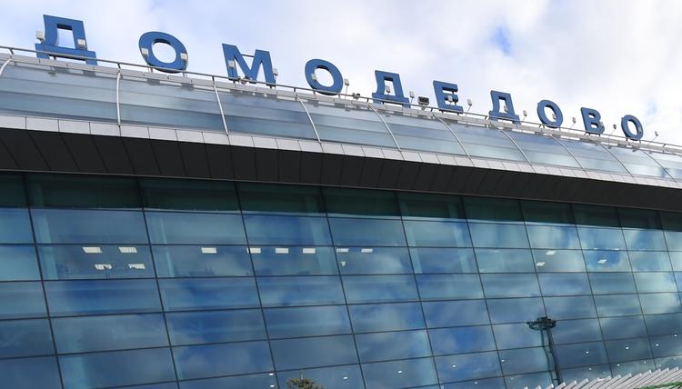 В аэропорту Домодедово задержан "блогер-шутник" с муляжами гранат в ручной клади