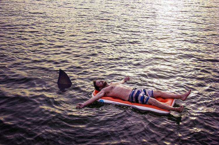 В Таиланде после нападения акулы на человека закрыли пляж