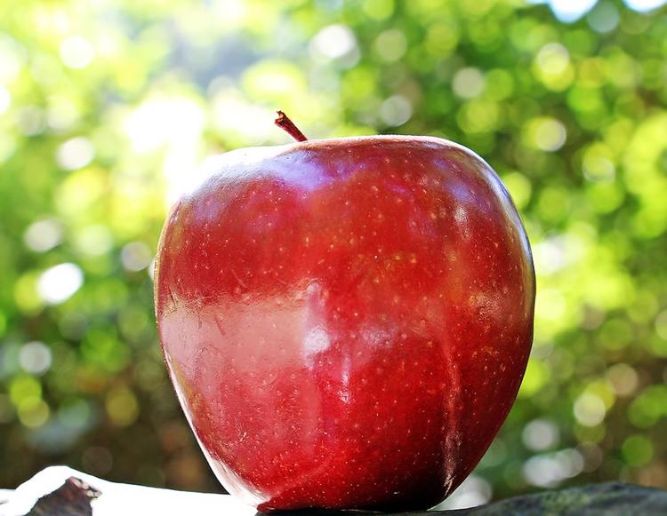 Гражданку США оштрафовали на 500 долларов за незадекларированное яблоко