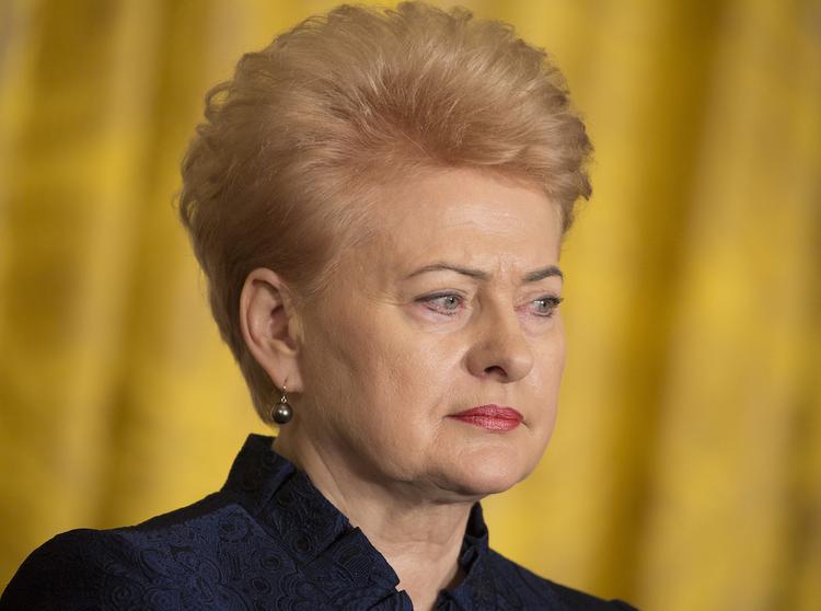 Главу Литвы не пригласили на инаугурацию Путина