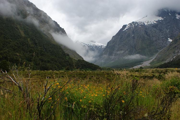 Гигантская трещина на земле появилась в Новой Зеландии