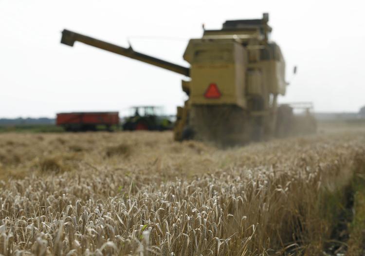 США и ЕС озабочены ростом экспорта зерна из России