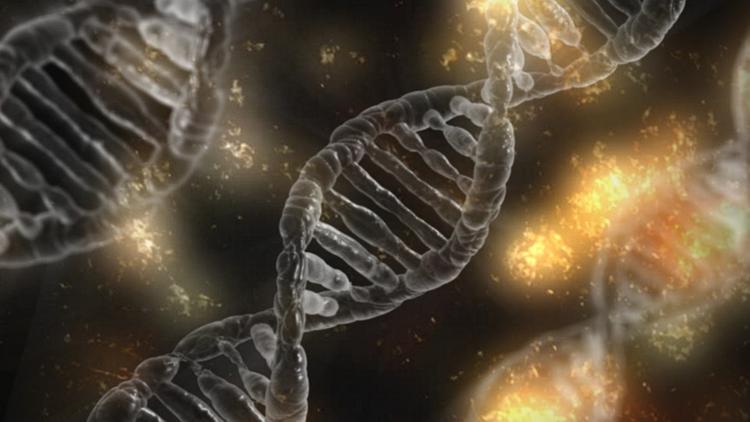 Российские ученые создали "наношприц" для генной терапии