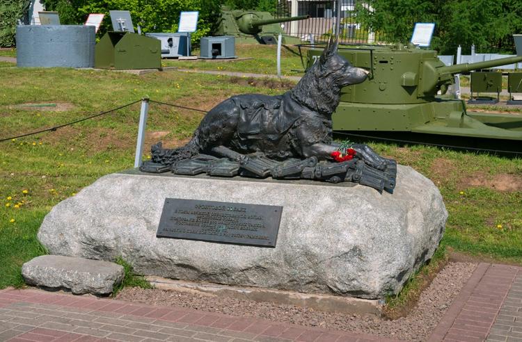 Студенты из Томска установили памятник-копилку для помощи бездомным животным