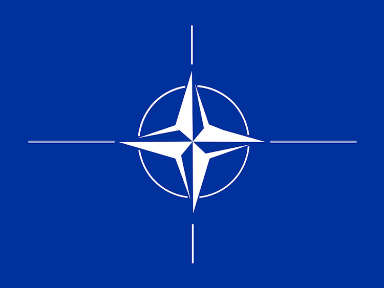 Польша поддержала идею о вступлении Украины и Грузии в НАТО