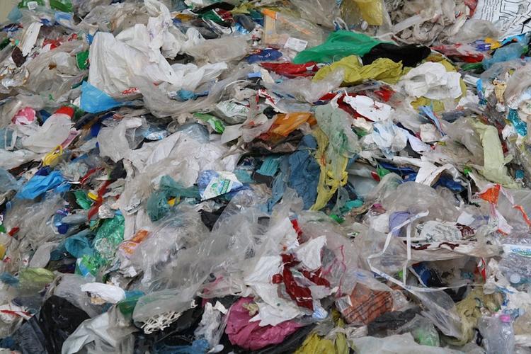 Госдума: в России еще рано запрещать пластиковую посуду