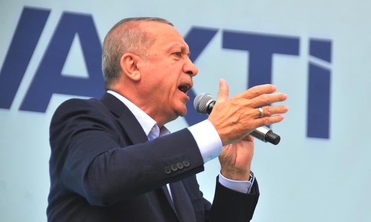 Стали известны детали плана Эрдогана по захвату части Сирии