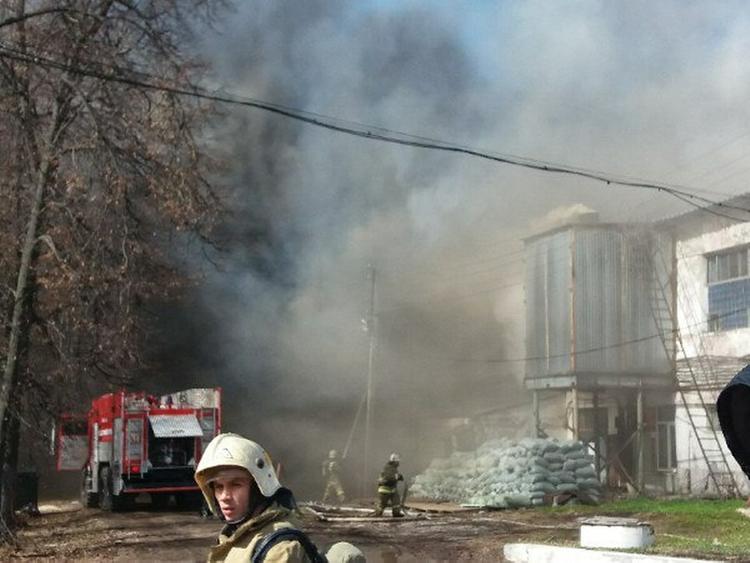 Молодого жителя Подмосковья наградили медалью за отвагу на пожре