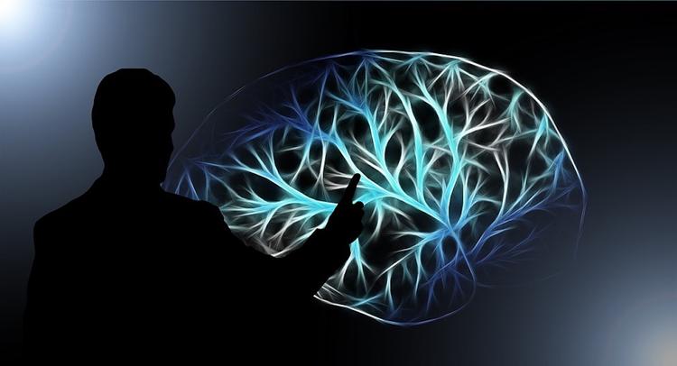 В теле человека обнаружен "второй мозг"