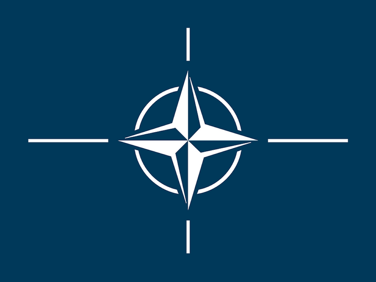 Солдата с автоматом Калашникова заметили на плакате НАТО