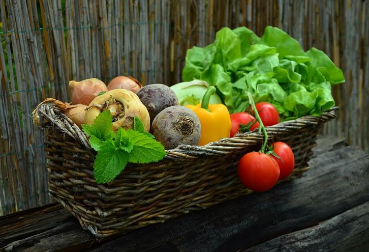 Ученые из России доказали пользу овощей для микрофлоры кишечника