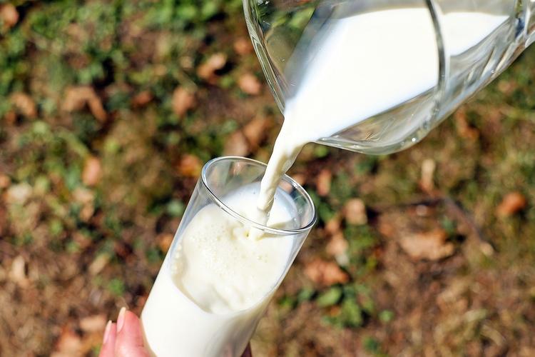 Россельхознадзор запретил поставки молока с двух предприятий Беларуси