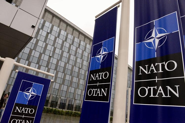 Озвучены опасные последствия вступления Украины в НАТО