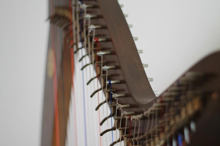 На Таманском полуострове обнаружены древнегреческие музыкальные инструменты