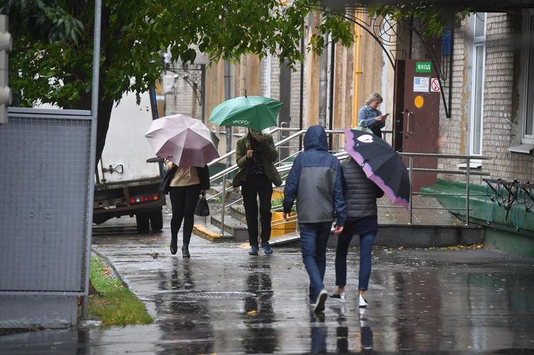 В ближайшие часы на Московский регион обрушится гроза с дождем