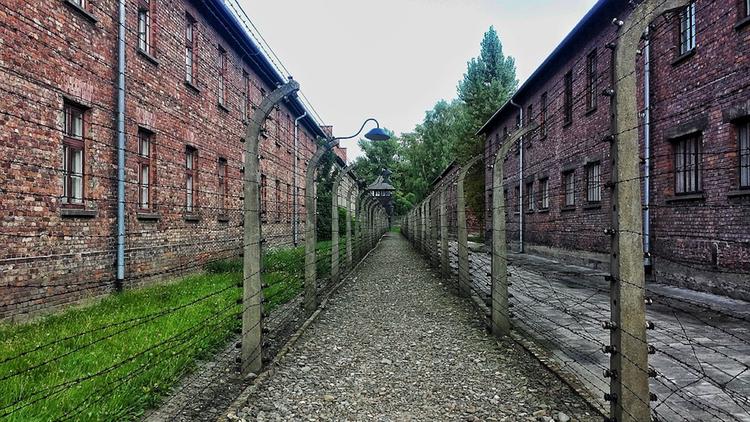 Туристов задержали и оштрафовали за попытку украсть кирпичи из Освенцима