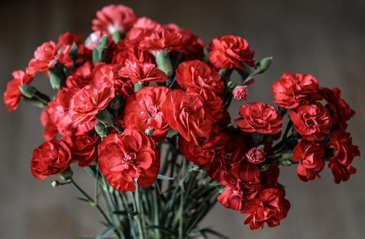 Жители Алматы несут цветы и свечи к месту нападения на Тена