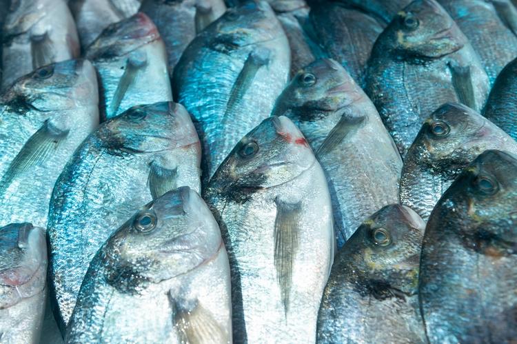 Эксперты рассказали, чем, кроме глазури, накачивают импортную рыбу для россиян