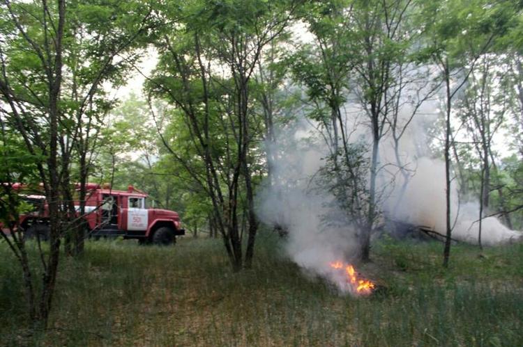 В Иркутской области было замечено 11 лесных пожаров