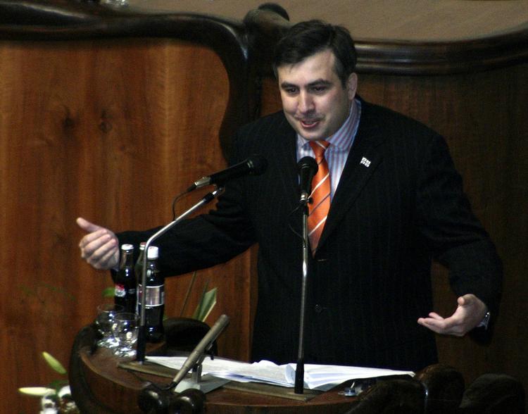 Тимакова назвала Саакашвили "трусливым клоуном"