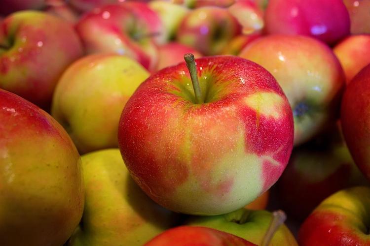 В Роскачестве рассказали, как выбрать вкусные и безопасные яблоки