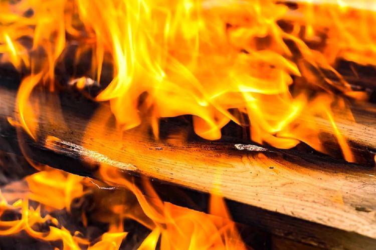 Учеными создана искусственная огнестойкая древесина
