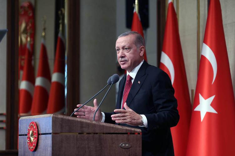 Эрдоган рекомендует гражданам Турции продать доллары и евро