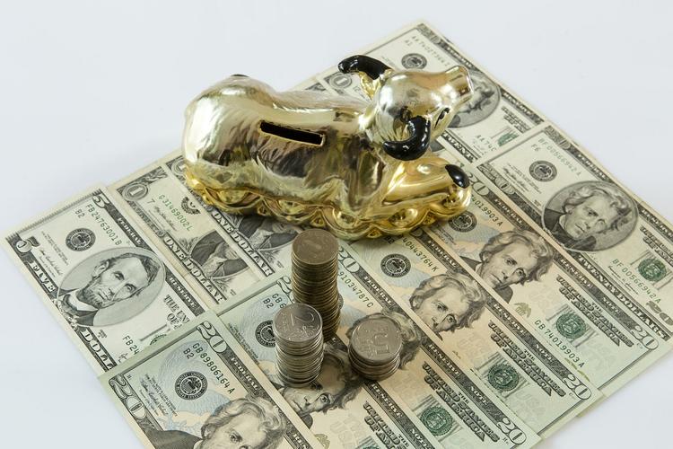 Эксперты рассказали о нынешней роли доллара в России