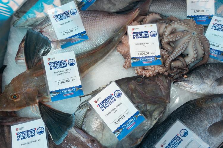Эксперты о снижении цен на красную рыбу