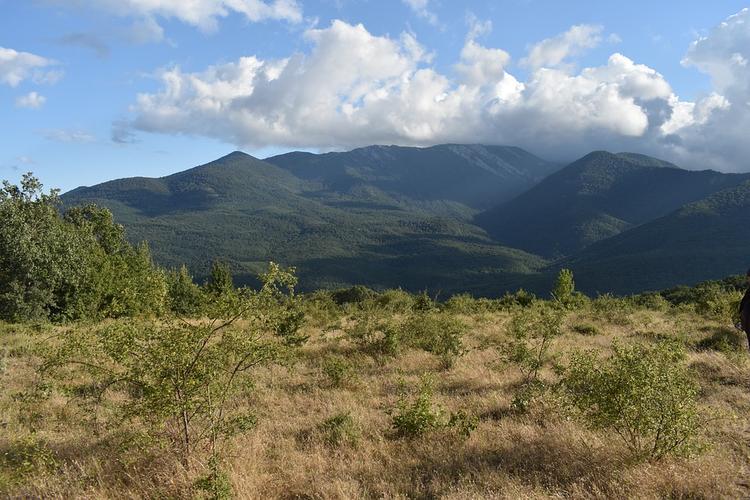 На севере Крыма произошел выброс в атмосферу неизвестного вещества