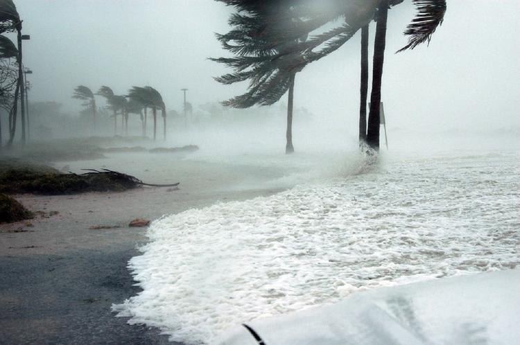 Тропический шторм «Флоренс» перерос в ураган
